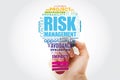 Risk Management light bulb word cloud collage, business concept background