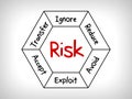 Risk management mind map - ignore, accept, avoid, reduce, transfer and exploit