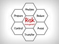 Risk management mind map - ignore, accept, avoid, reduce, transfer and exploit