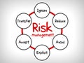 Risk management mind map - ignore, accept, avoid, reduce, transfer and exploit