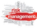 Risk Management word cloud