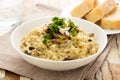 Risotto ai funghi Royalty Free Stock Photo