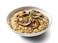 Risotto ai Funghi on white background Royalty Free Stock Photo