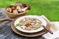 Delicious mushrooms risotto with fresh boletus edulis dressed with parmesan cheese