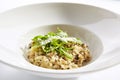 Risotto with boletus forest mushrooms closeup