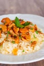 Risotto with chanterelles