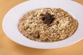 Risotto with funghi mushrooms and parmesan cheese Royalty Free Stock Photo