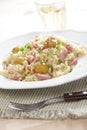 Risotto with ham and chestnuts Royalty Free Stock Photo