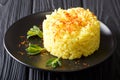 Risotto milanese, an italian recipe typical of Milan closeup. Ho Royalty Free Stock Photo