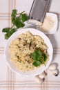 Risotto Royalty Free Stock Photo