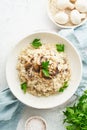 Risotto with mushrooms in plate. Rice porridge with mushrooms and parsley