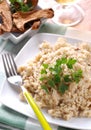 Risotto with porcini mushrooms