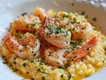 Risotto with scampi cream