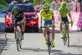 Risoul, France May 27, 2016; A group of professional cyclist exhausted with Rigoberto Uran and Alejandro Valverde passes the finis