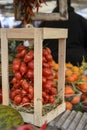 Fresh tomatoes at the weekly market. Royalty Free Stock Photo