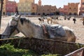 Rissani market in Morocco and the parking of donkeys and mules.