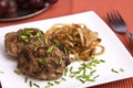 Rissole with chives and onion rings Royalty Free Stock Photo