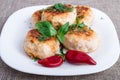 Rissole minced meat on a white plate with red pepper Royalty Free Stock Photo
