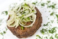 Rissole with onion rings, macro