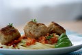 Rissole with pasta and tomato sauce Royalty Free Stock Photo
