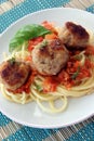 Rissole with pasta and tomato sauce Royalty Free Stock Photo