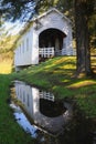 A reflection of Ritner Creek Covered Bridge in a pool of rainwater.