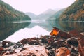 Ritsa Lake In Abkhazia Dry orange leafs Mountains landscape Autumn Forest Travel Royalty Free Stock Photo