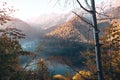 Ritsa Lake In Abkhazia Mountains landscape Forest Travel Royalty Free Stock Photo