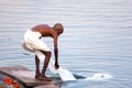 Ritual bathing