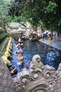 Ritual Bathing Ceremony, Bali Indonesia