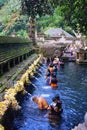 Ritual Bathing Ceremony, Bali Indonesia