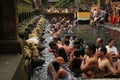 Ritual Bathing Ceremony at Tampak Siring, Bali Indonesia Royalty Free Stock Photo