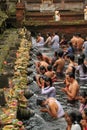 Ritual Bathing Ceremony at Tampak Siring, Bali Indonesia Royalty Free Stock Photo