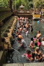 Ritual Bathing Ceremony at Tampak Siring, Bali Indonesia