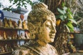 Buddha Shakyamuni is the symbol of Buddhism in the world close-up.