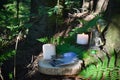 A ritual with candles and an old book and maps in the forest on the roots of trees. Royalty Free Stock Photo