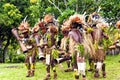 Ritual dance in Papuan tribe