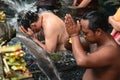 The ritual purification in the temple pond. Tirta Empul. Tampaksiring. Gianyar regency. Bali. Indonesia