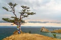 Ritual tree with colorful ribbons Hadak in the overcast. Lake Baikal. Olkhon Island. Russia