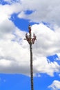 Ritual of the voladores de papantla or papantla Flyers, in teotihuacan, mexico I