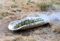 Ritual wooden objects and green branches for Aboriginal Australian Ceremony, preparation for start a fire for a ritual rite