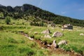 Riu de les Deveses river and mountain cabins