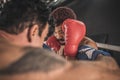 Two kickboxers fighting on a boxing ring and looking aggressive Royalty Free Stock Photo