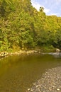 Rivendell, Kaitoke Regional Park, New Zealand Royalty Free Stock Photo