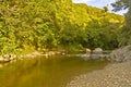 Rivendell, Kaitoke Regional Park, New Zealand Royalty Free Stock Photo