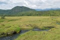 River against a mountain background, Mount Meru, Arusha National Park