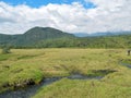 River against a mountain background, Mount Meru, Arusha National Park