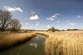 River Alde surrounded by fields under the sunlight and a blue sky in the UK Royalty Free Stock Photo