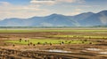 river alluvial plains landscape