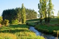 A river in the early morning in Waikato, New Zealand